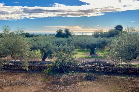 Finca i El Perello, Tarragona - foto 2